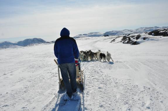 Aproveitando o lindo dia para passear de dogsleding em Ilulissat, na Groelândia